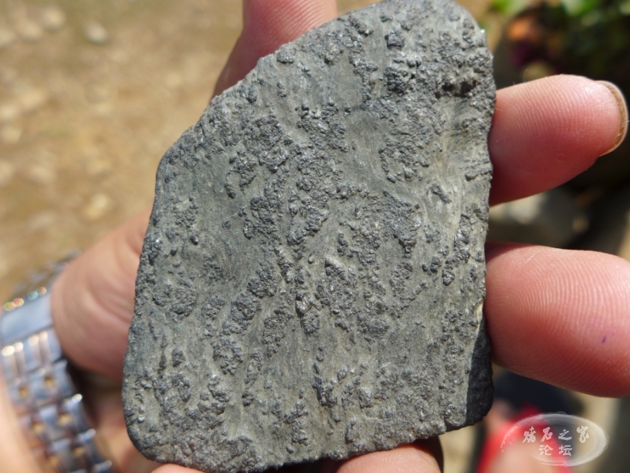 thumb_P1080103_1024 2.jpg