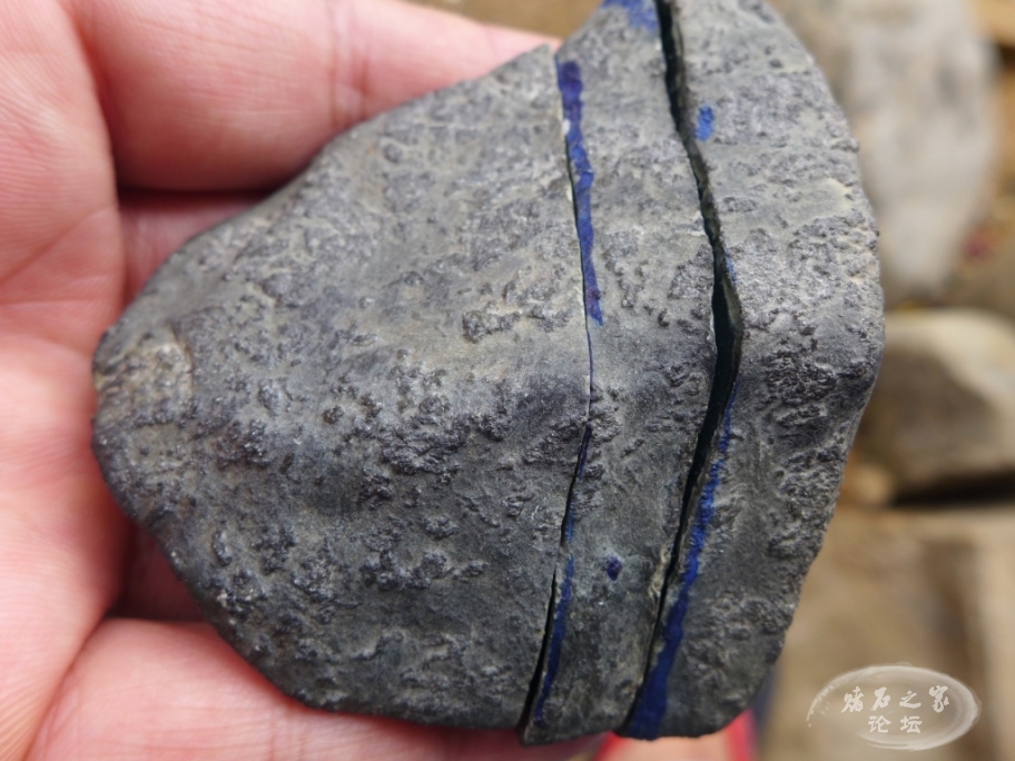 thumb_P1080095_1024 2.jpg