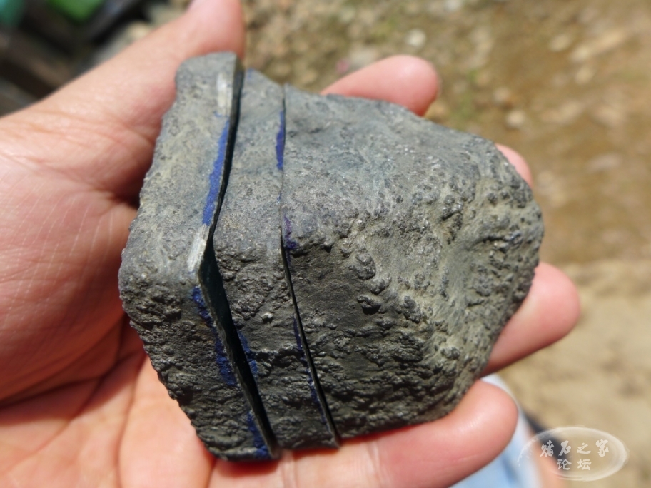 thumb_P1080105_1024 2.jpg