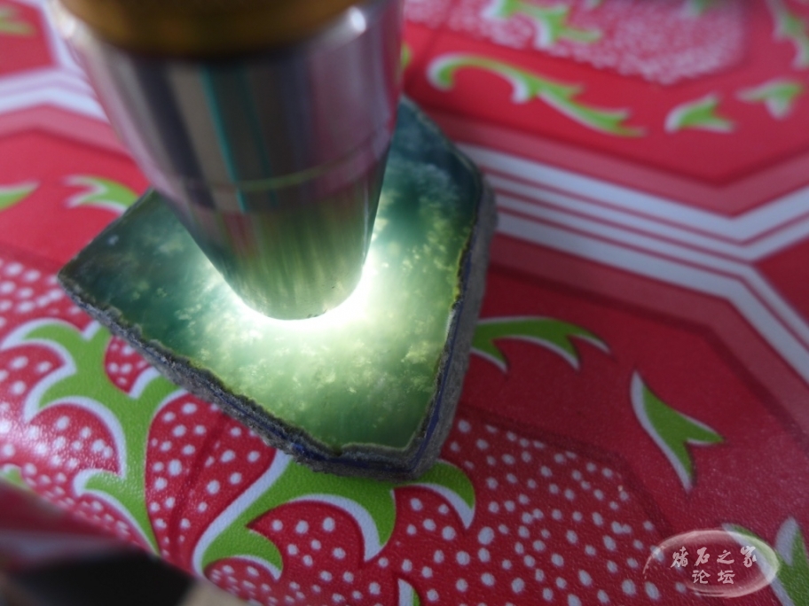 thumb_P1080202_1024 2.jpg