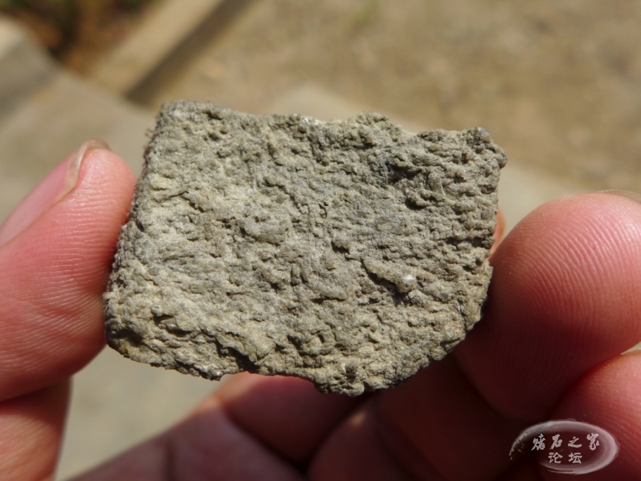 thumb_P1080431_1024 2.jpg