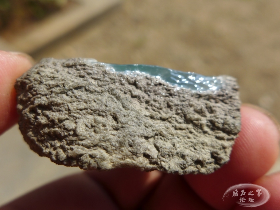 thumb_P1080434_1024 2.jpg