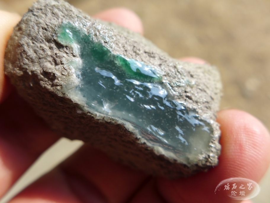 thumb_P1080428_1024 2.jpg