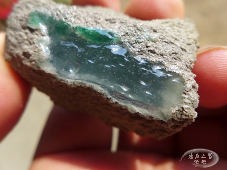 thumb_P1080438_1024 2.jpg