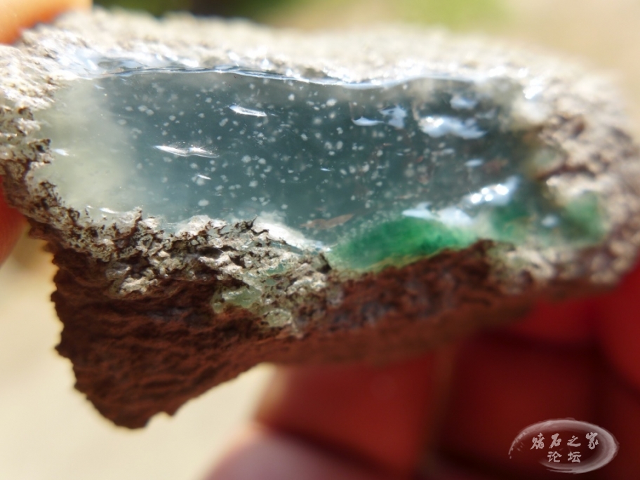 thumb_P1080446_1024 2.jpg