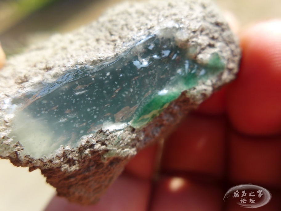 thumb_P1080447_1024 2.jpg