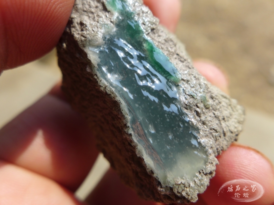 thumb_P1080454_1024 2.jpg