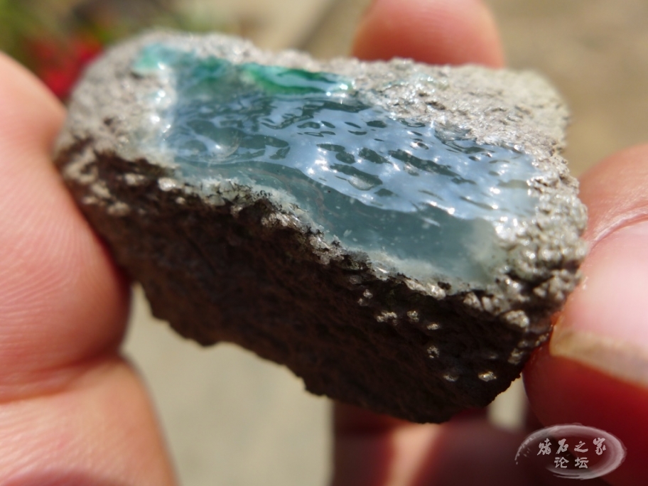 thumb_P1080460_1024 2.jpg