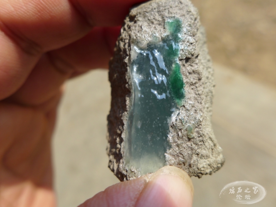 thumb_P1080464_1024 2.jpg