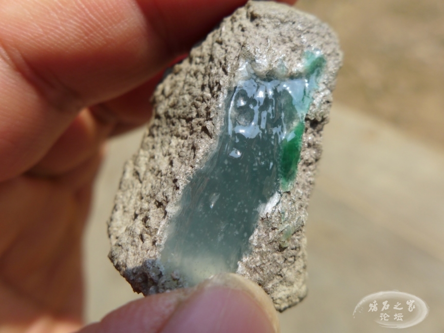 thumb_P1080463_1024 2.jpg