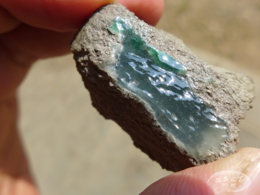 thumb_P1080465_1024 2.jpg