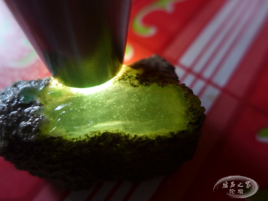 thumb_P1080467_1024 2.jpg