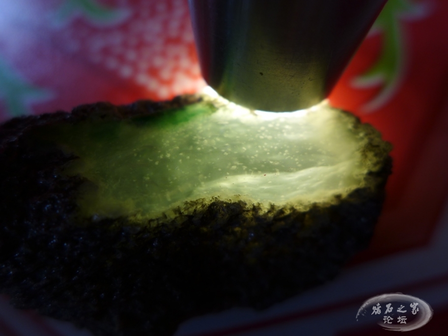 thumb_P1080475_1024 2.jpg