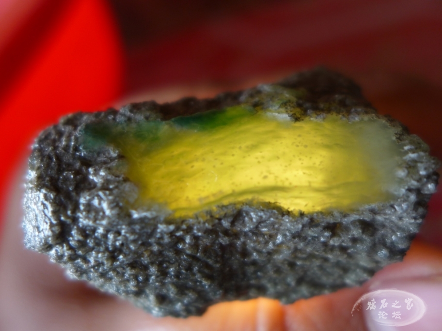 thumb_P1080479_1024 2.jpg