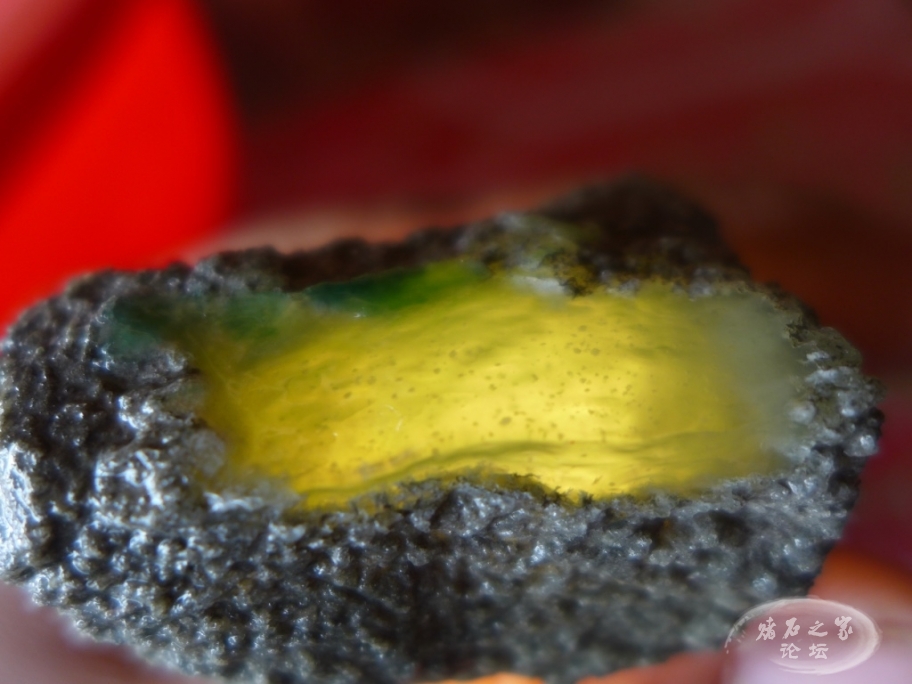 thumb_P1080480_1024 2.jpg