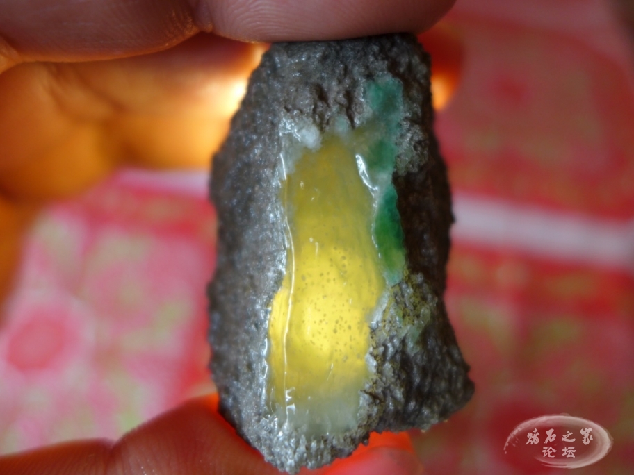 thumb_P1080482_1024 2.jpg