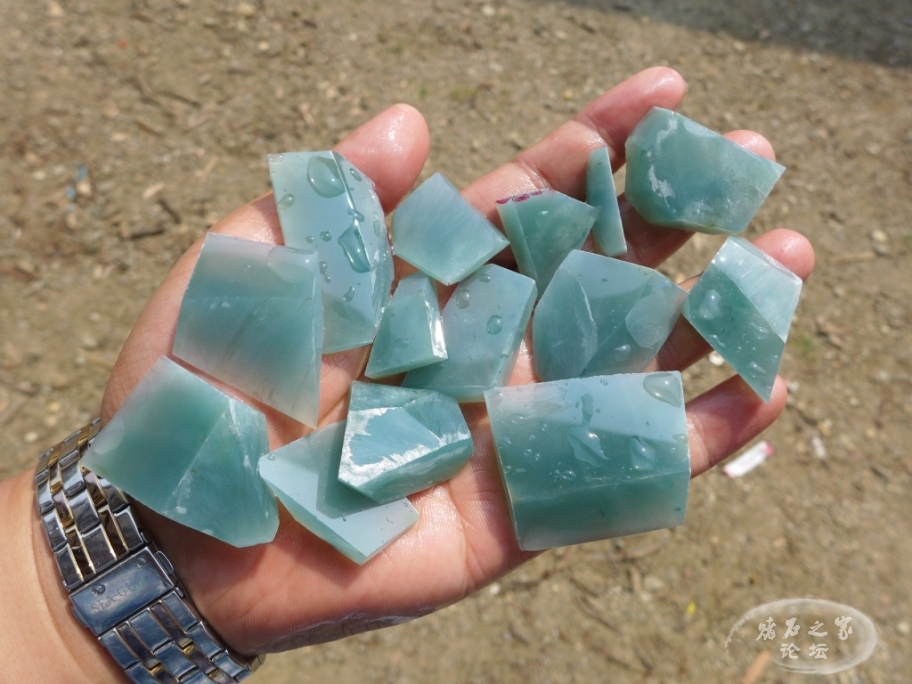 thumb_P1080308_1024 2.jpg