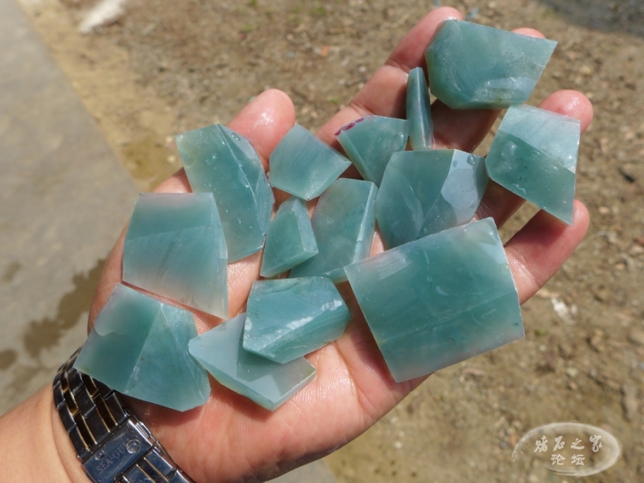 thumb_P1080299_1024 2.jpg