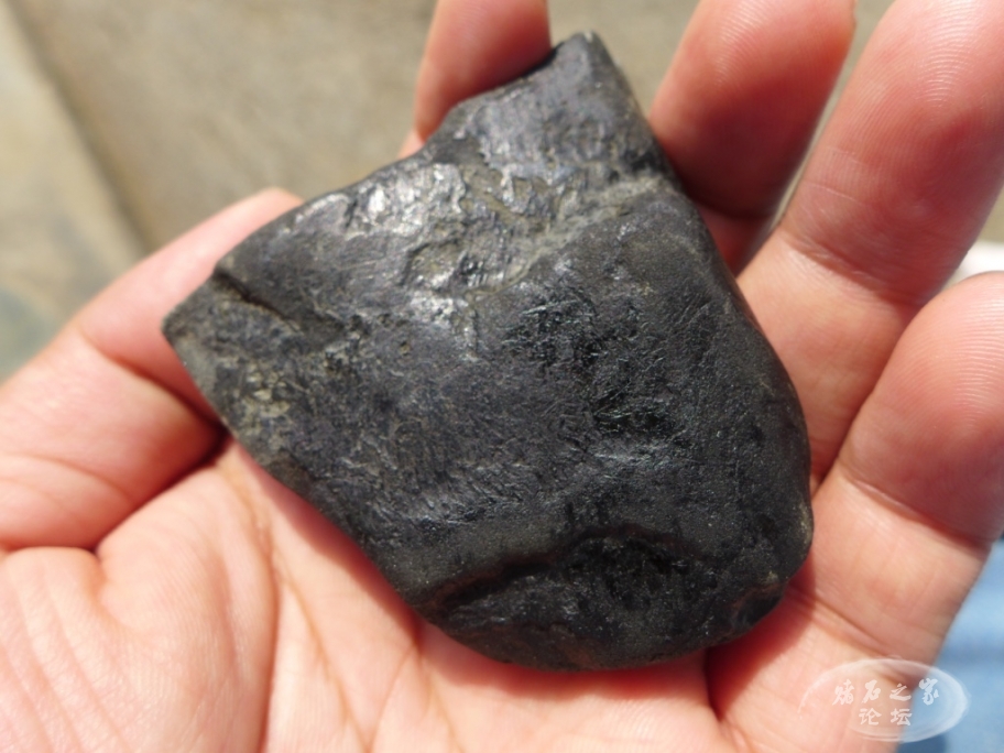 thumb_P1080383_1024 2.jpg