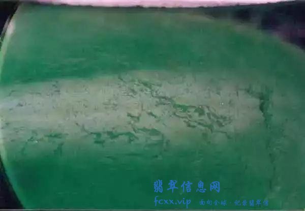 翡翠的优化处理及其鉴定特征，收藏备查-10.jpg