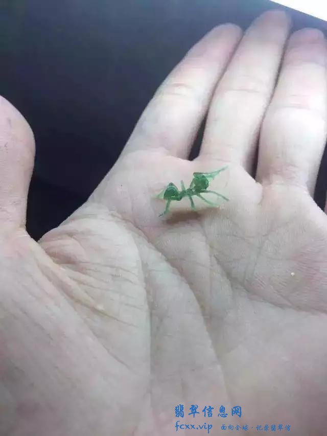 雕刻师把翡翠雕成了蚂蚁，没想到会这么生动-2.jpg