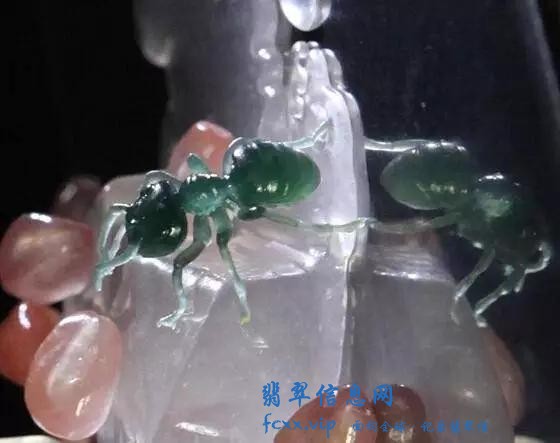 雕刻师把翡翠雕成了蚂蚁，没想到会这么生动-12.jpg