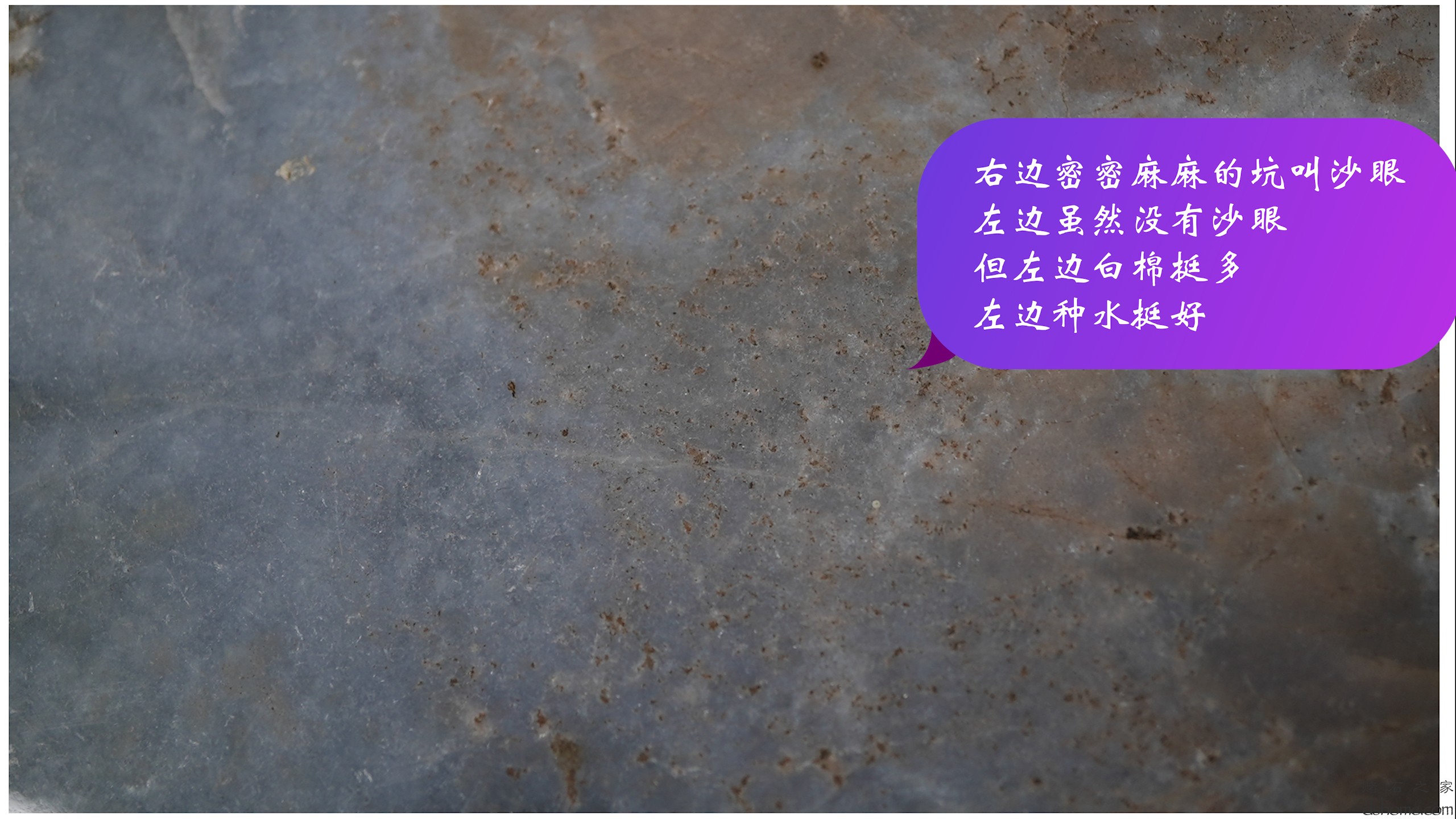 序列 04.00_00_19_33.Still005.jpg