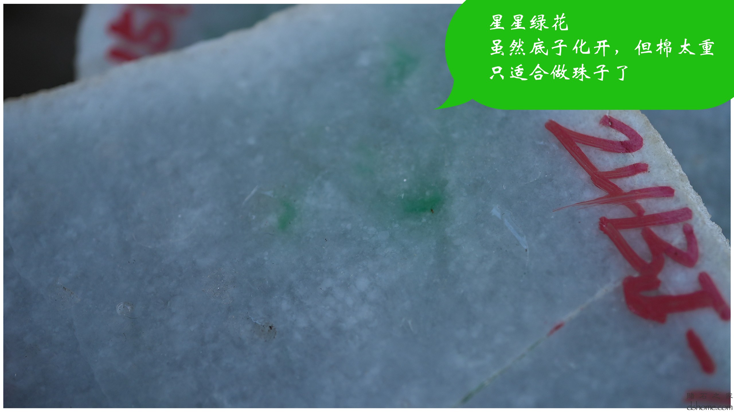 序列 07.00_00_25_12.Still006.jpg