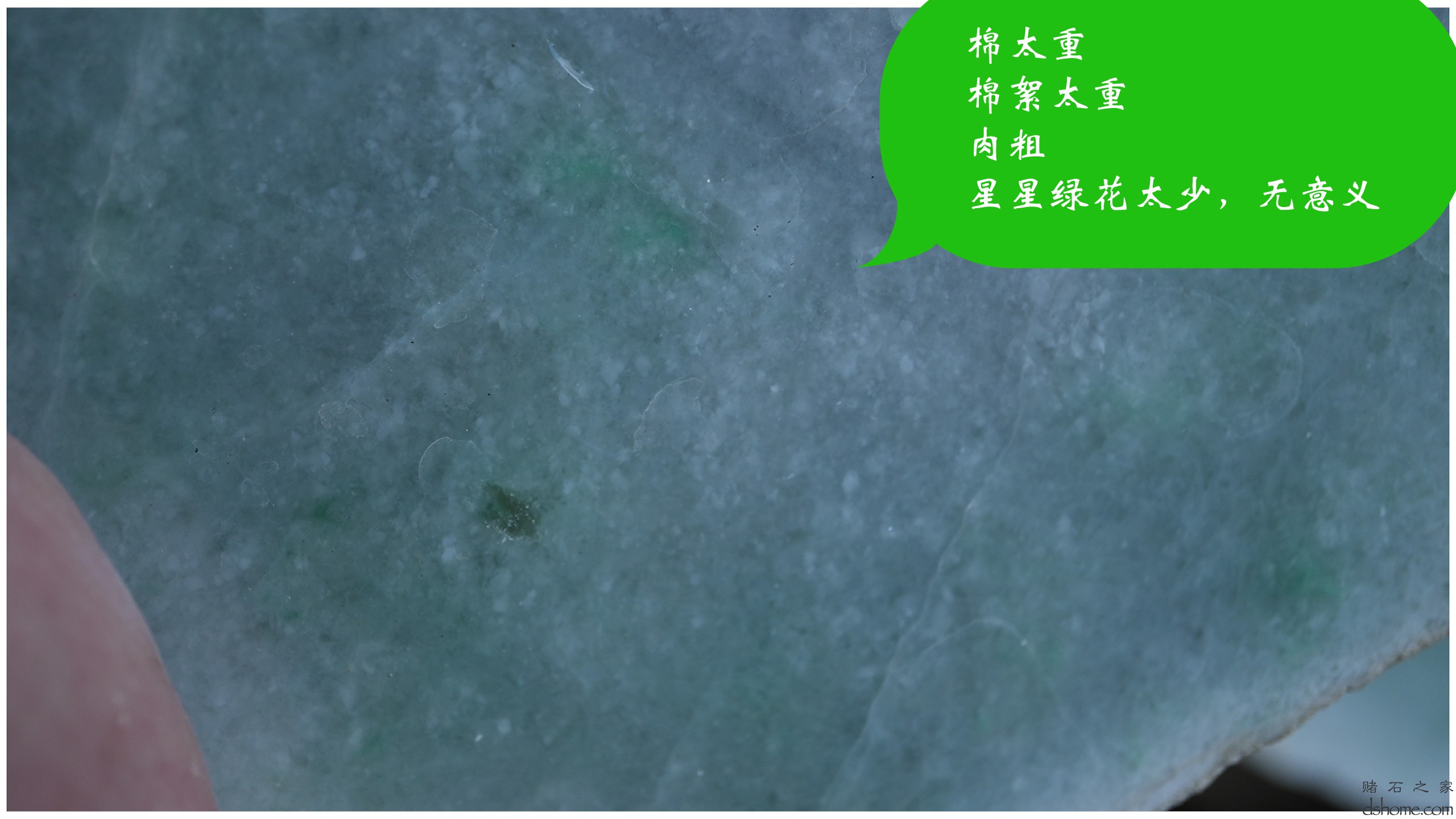 序列 07.00_00_32_59.Still008.jpg