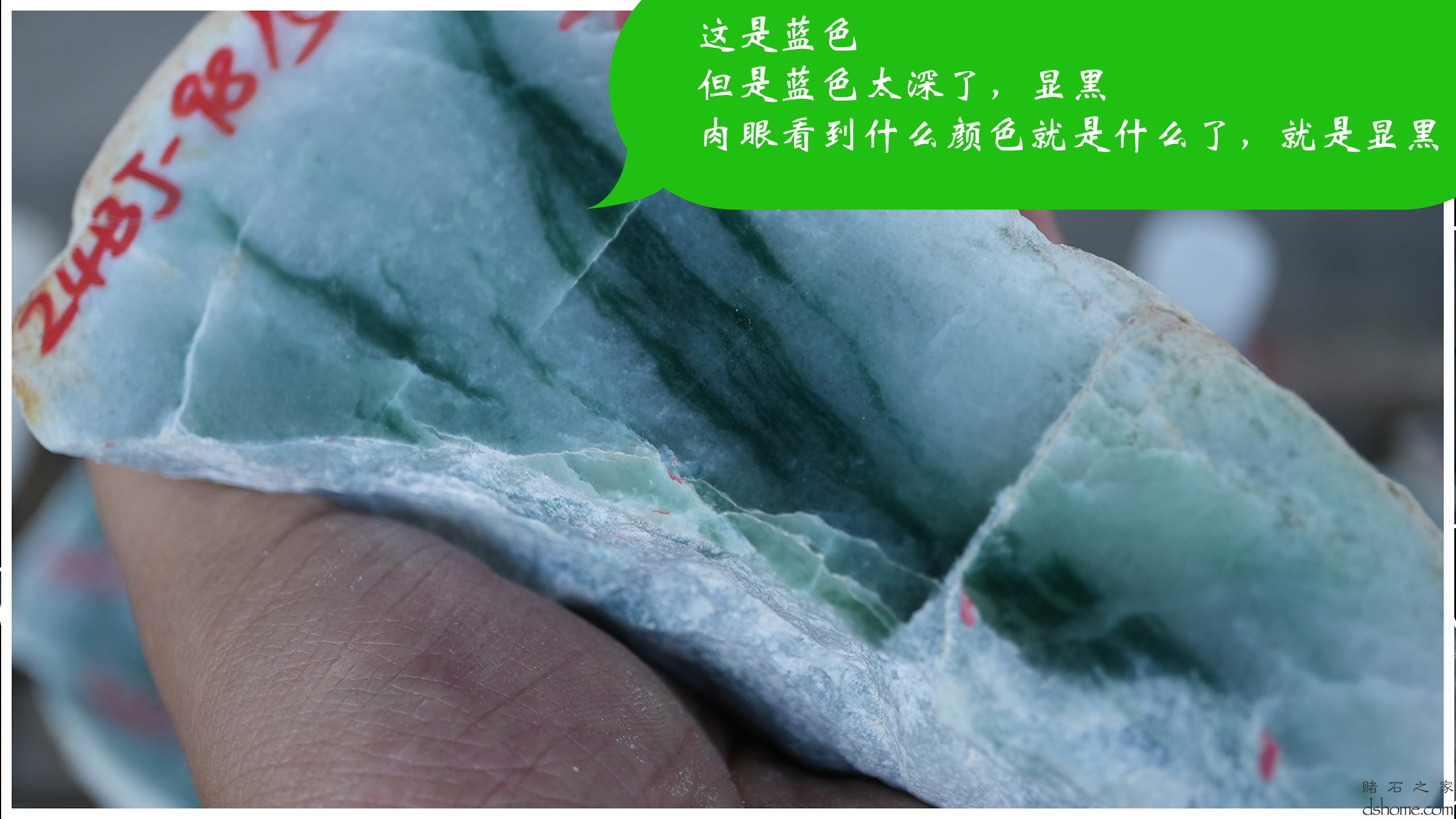 序列 09.00_00_14_45.Still003.jpg