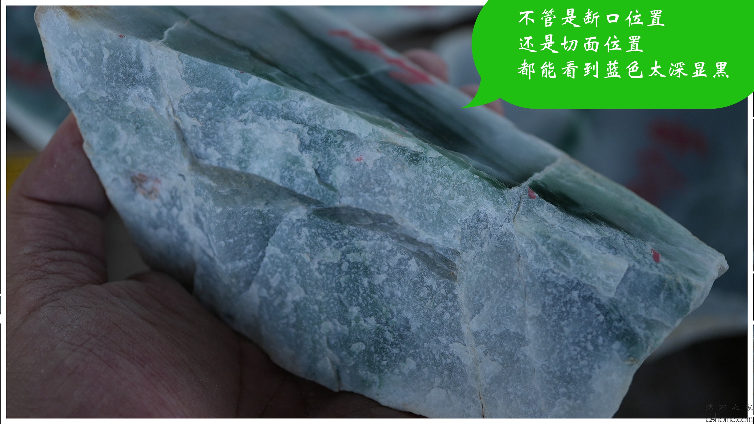 序列 09.00_00_18_15.Still004.jpg