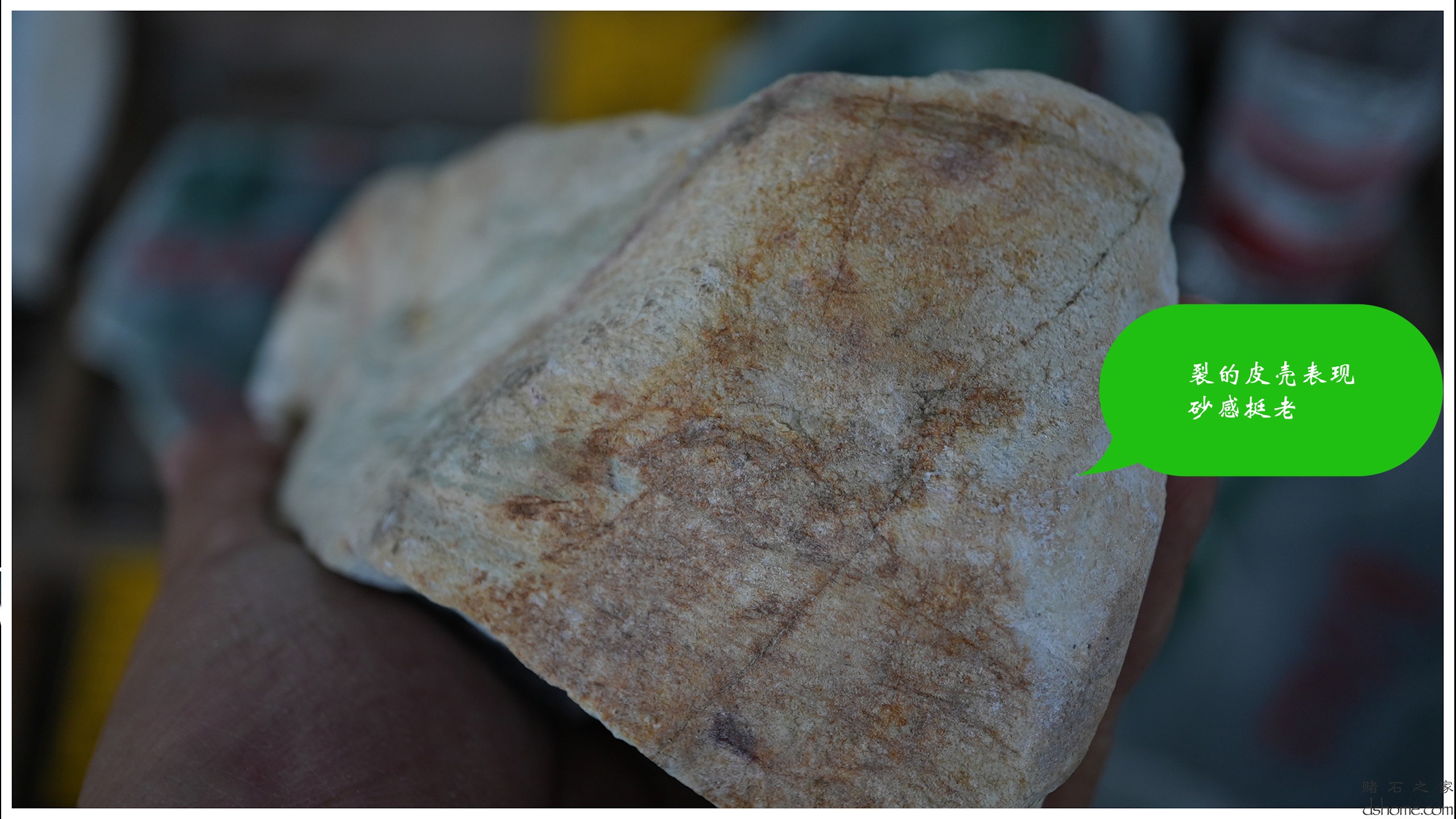 序列 09.00_00_49_48.Still012.jpg