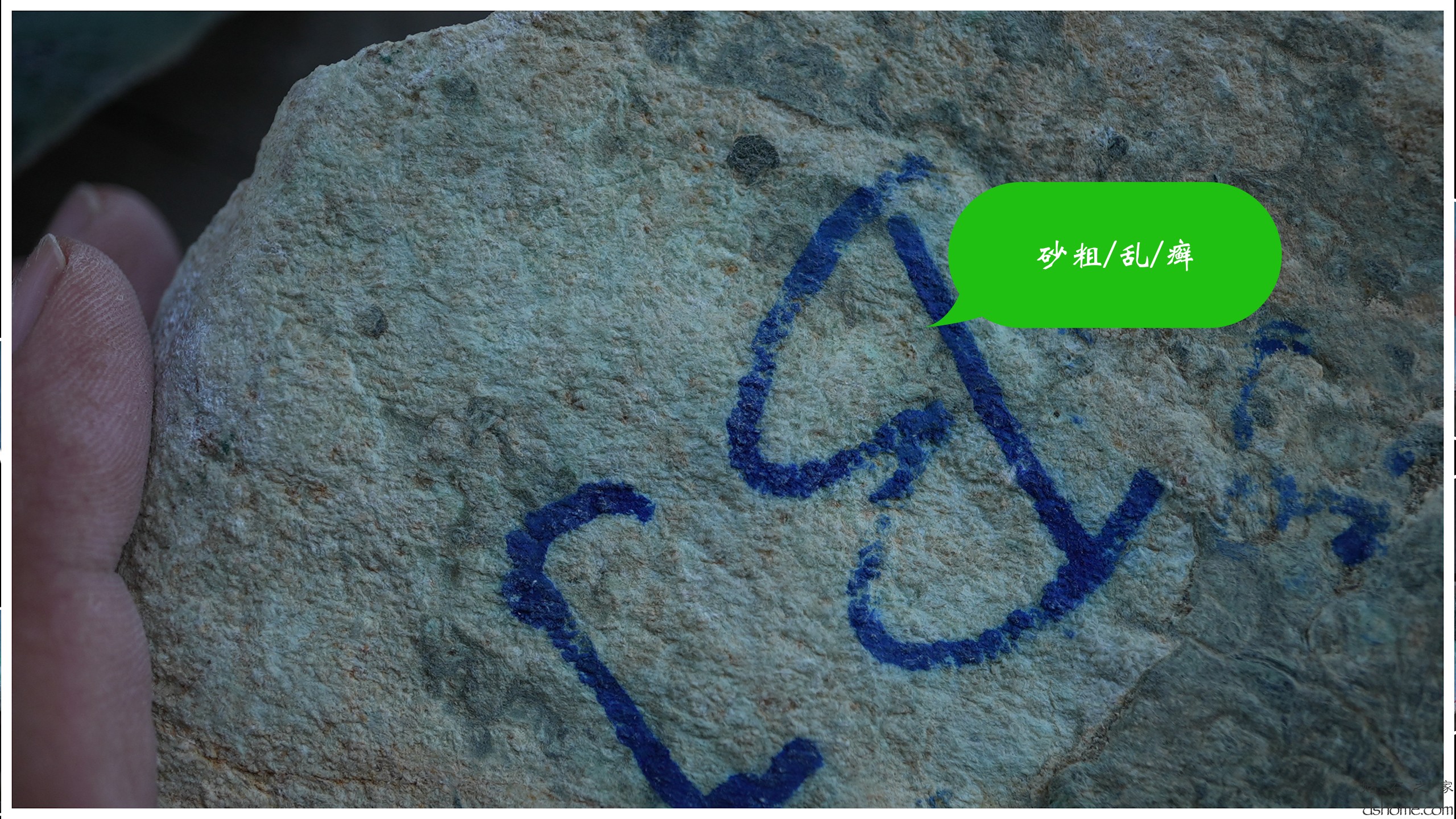 序列 10.00_00_31_26.Still007.jpg