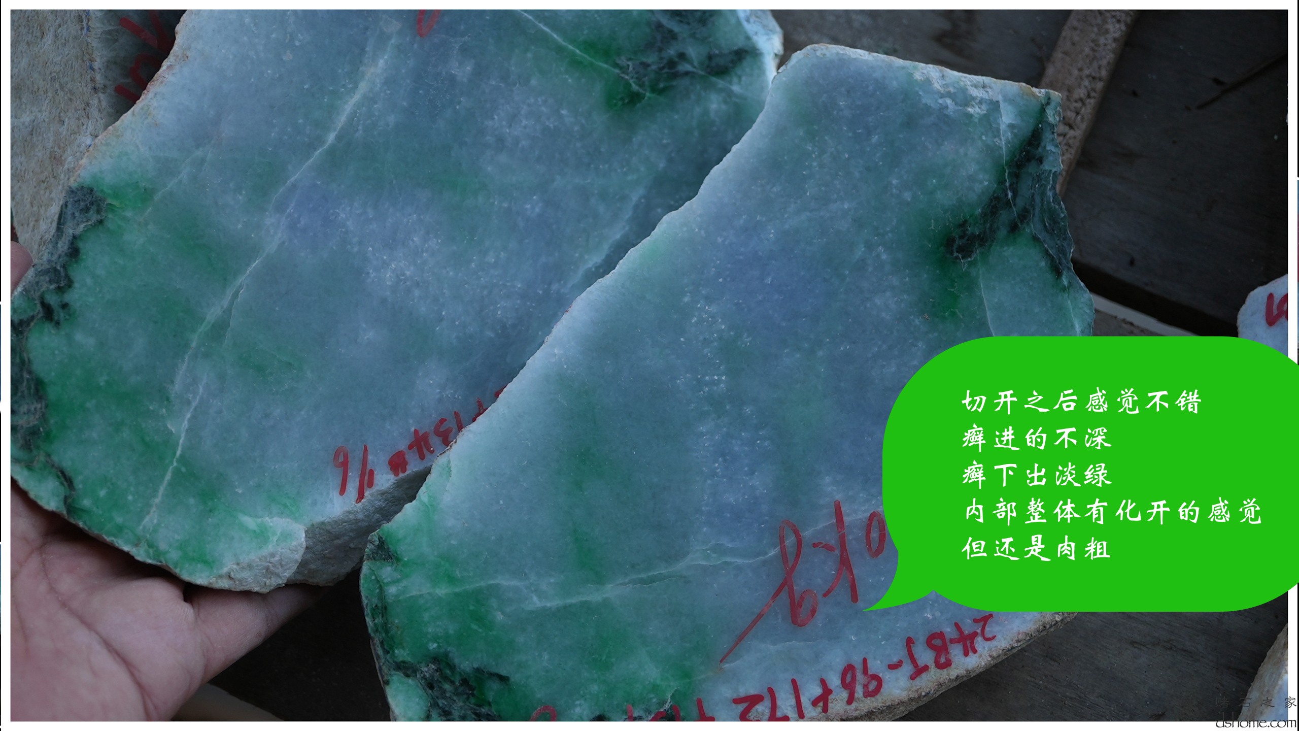 序列 10.00_00_39_09.Still009.jpg