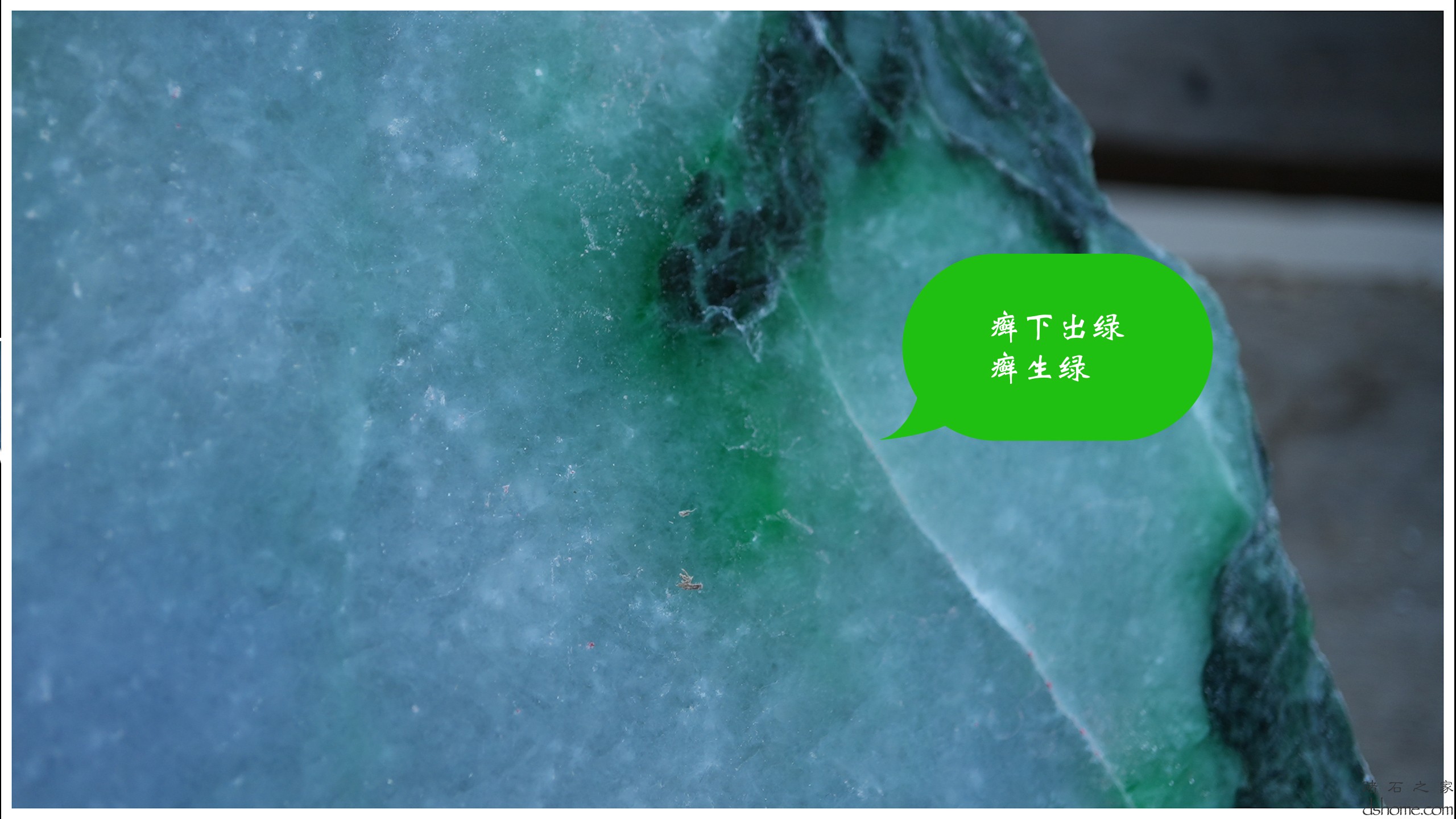 序列 10.00_00_50_58.Still012.jpg