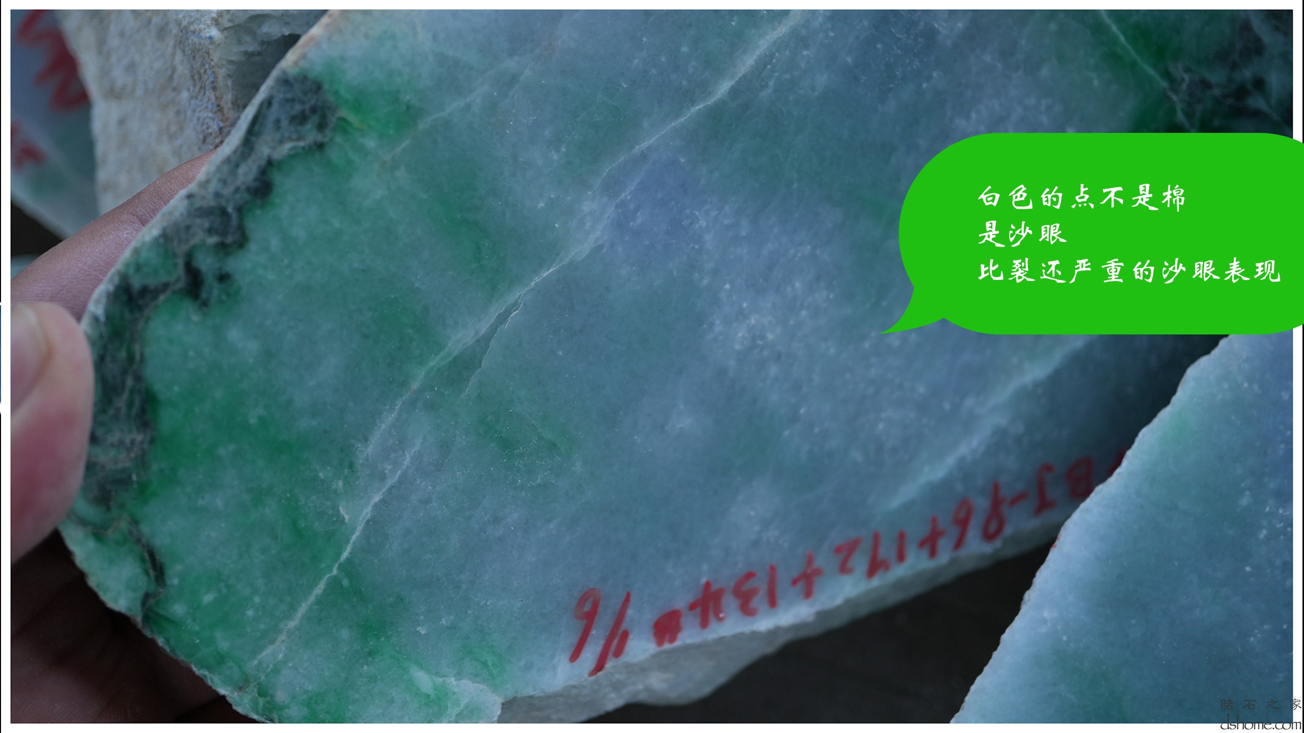 序列 10.00_00_59_00.Still014.jpg