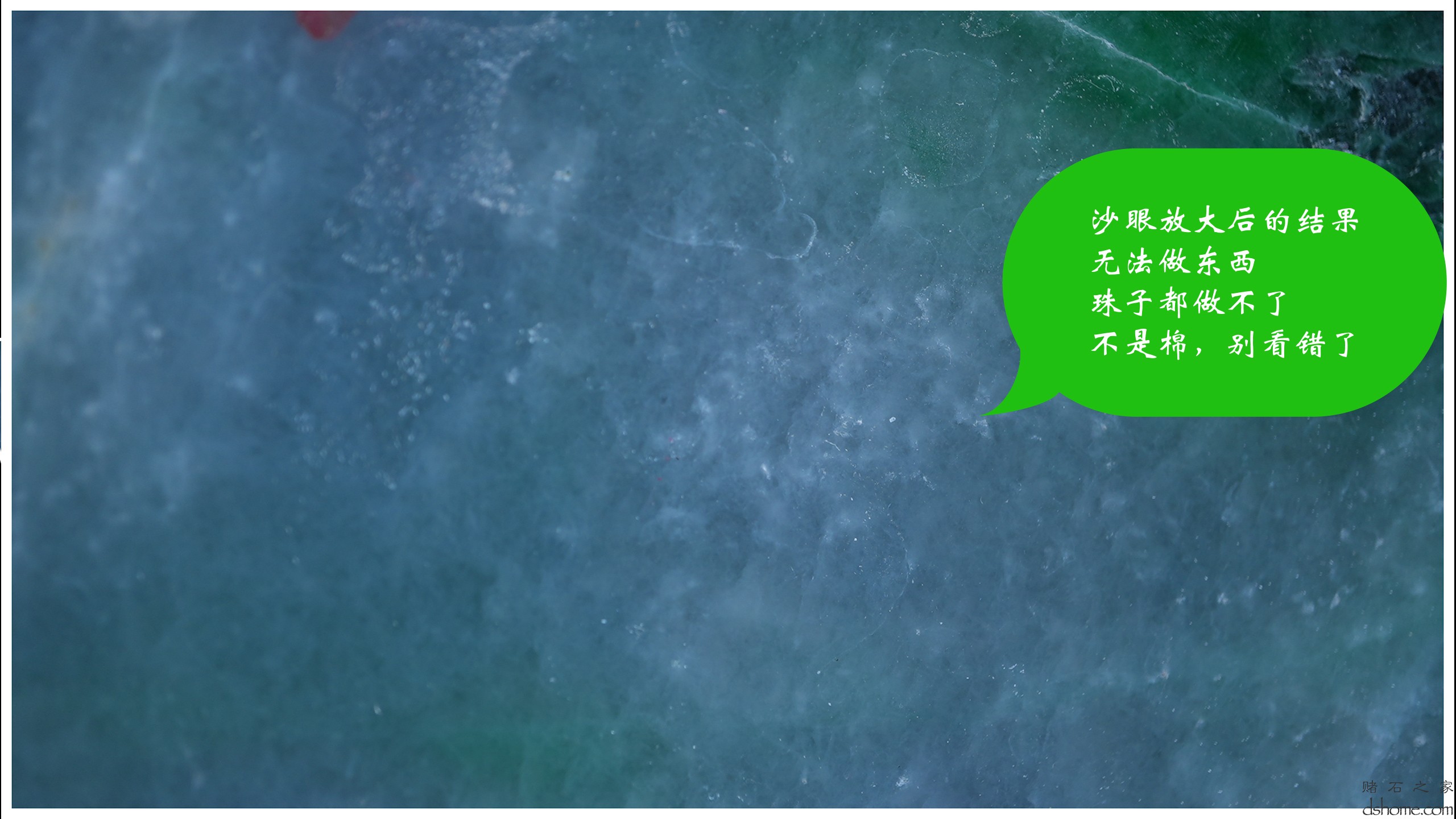 序列 10.00_01_06_48.Still016.jpg